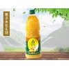 臨沂價格合理的花生油批售 陜西花生油