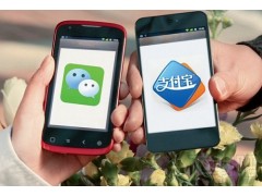 專業(yè)的移動支付技術(shù)提供者——江蘇