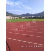 廣東省惠州市塑膠跑道|塑膠跑道廠家價格|塑膠跑道材料