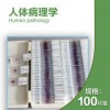 細胞分裂遺傳學顯微鏡玻片_新鄉供應優質顯微鏡玻片