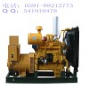康明斯發(fā)電機廠家價格，熱薦優(yōu)質(zhì)福州上柴柴油發(fā)電機品質(zhì)保證