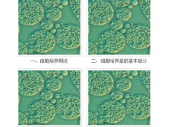 宜興賽爾生物提供宜興細胞培養基，