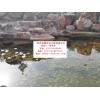 鎮(zhèn)江市別墅景觀魚池水凈化過濾循環(huán)增氧一體化系統