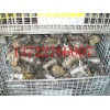 滄州專業(yè)的回收廢舊發(fā)電機(jī)起動機(jī)——天津回收廢舊馬達(dá)