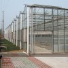 溫室大棚建造找哪家，玻璃智能溫室工程