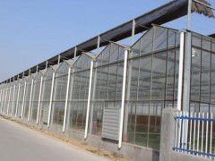專業(yè)溫室大棚廠家_連棟薄膜溫室建設