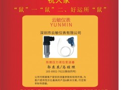深圳市云敏儀表 總經(jīng)理 郭東東2020新春寄語(yǔ) 一百零八星報(bào)喜之地霸星