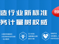中小型數(shù)字壓力表企業(yè)如何正確開設電子商務運營