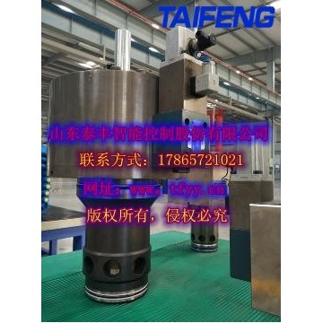 泰豐智能供應(yīng)DN63通徑雙主動(dòng)閥