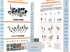 西安森瑟斯傳感器攜手十家儀表廠家亮相廣州國際計(jì)量展-展后回顧7